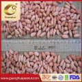 High Quality Shandong Long Peanut Kernels